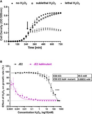 Hydrogen Peroxide Affects Growth of S. aureus Through Downregulation of Genes Involved in Pyrimidine Biosynthesis